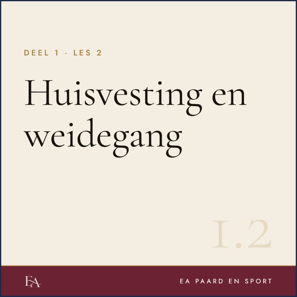 Huisvesting en weidegang — EA Paard en Sport