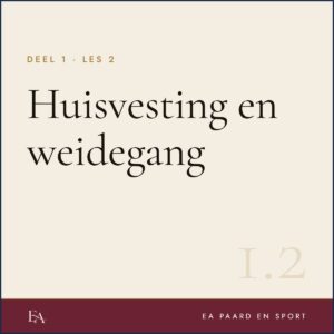 Huisvesting en weidegang — EA Paard en Sport