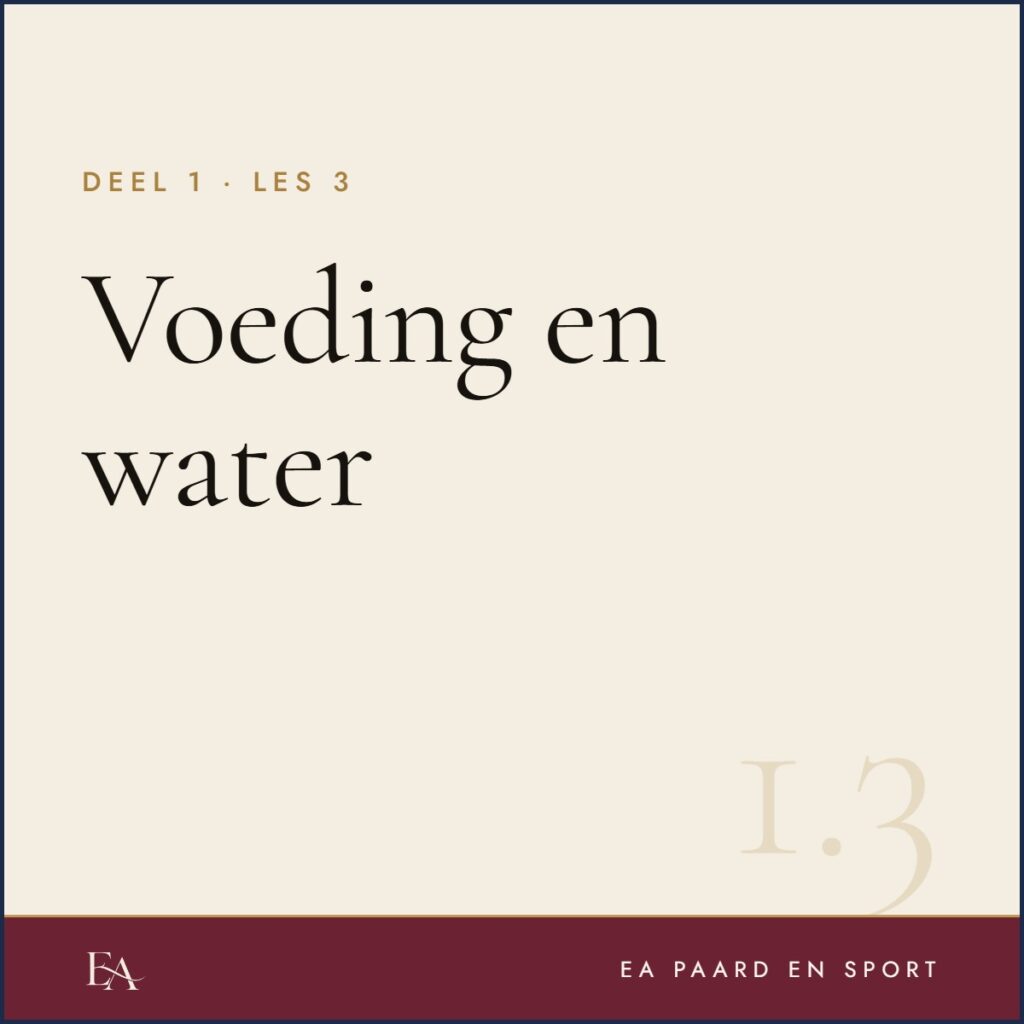Voeding en water — EA Paard en Sport