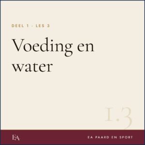 Voeding en water — EA Paard en Sport