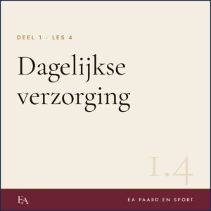 Dagelijkse verzorging — EA Paard en Sport