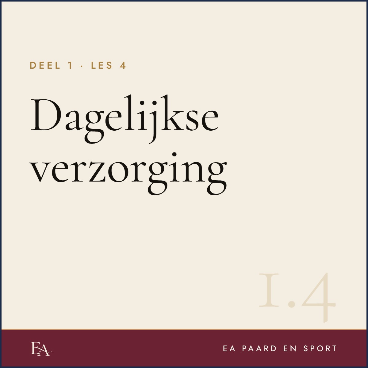 Dagelijkse verzorging — EA Paard en Sport