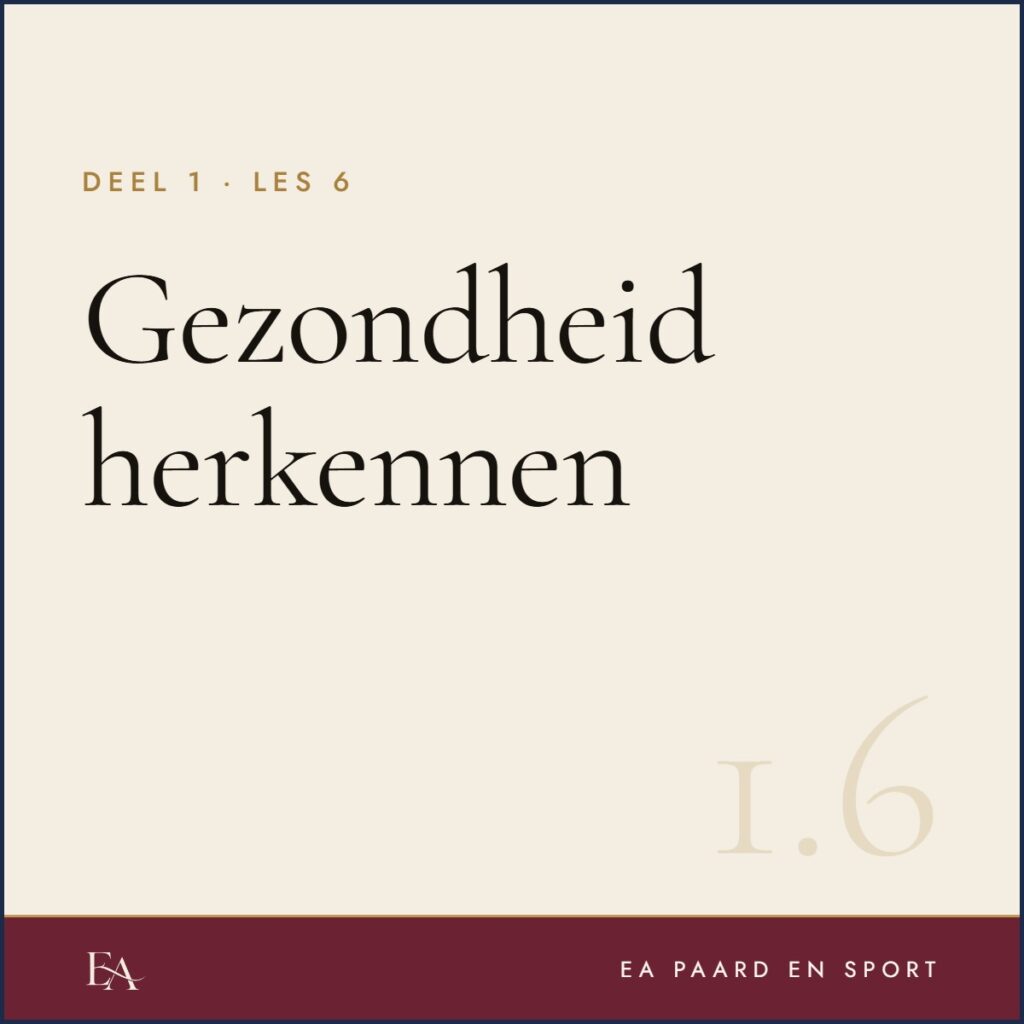 Gezondheid herkennen — EA Paard en Sport