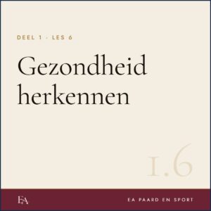 Gezondheid herkennen — EA Paard en Sport